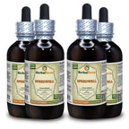 Herbal Terra LLC Speedwell (Veronica Officinalis) Tincture