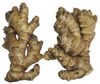 Mall~Kerala Live Ginger Rhizomes for Growing - 10 Count