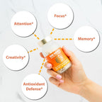 Sun Chlorella Sun Neuro Nootropic Brain Supplement - 180 Capsules - image 6