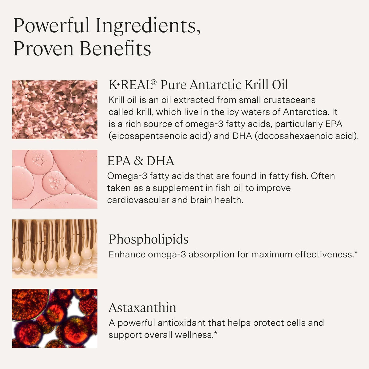 Stonehenge Health Dynamic Krill Oil Triple Strength 1600mg - 60 Softgels - image 4