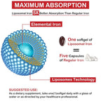 Sapotax Liposomal Fe Iron Supplement for Women - image 4