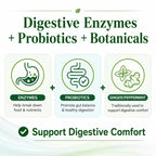 Lorentivra Daily Gut Health Supplement - 60 Capsules - image 4