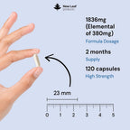 New Leaf Magnesium Glycinate 4-in-1 Complex - 120 Capsules - image 3