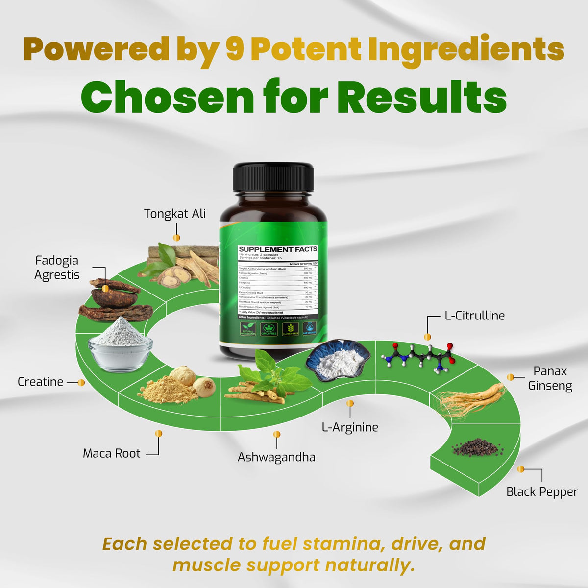 Vegatot Premium Tongkat Ali 9-in-1 with Fadogia & Creatine - 90 Capsules - image 3