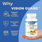 DR. HERBAL WELL Vision Guard Eye Support - 60 Capsules - image 5