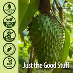 Nature's Answer Graviola Soursop Extract Alcohol Free - 1 Fl Oz - image 4