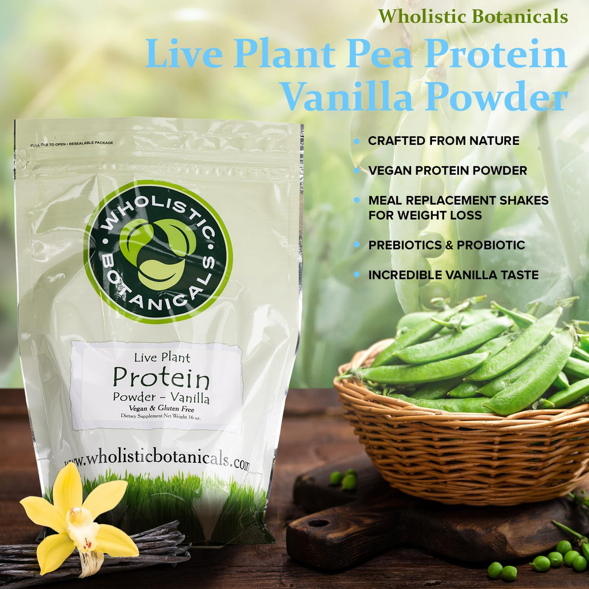 Wholistic Botanicals Live Plant Pea Protein Vanilla Powder - 1 lb - image 3