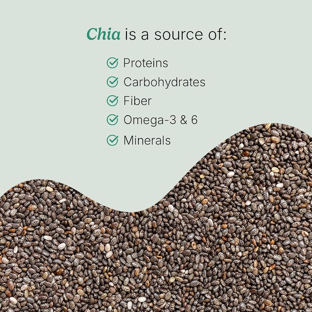 Santo Remedio Nopal Chia Daily Fiber Supplement - 120 Capsules - image 6