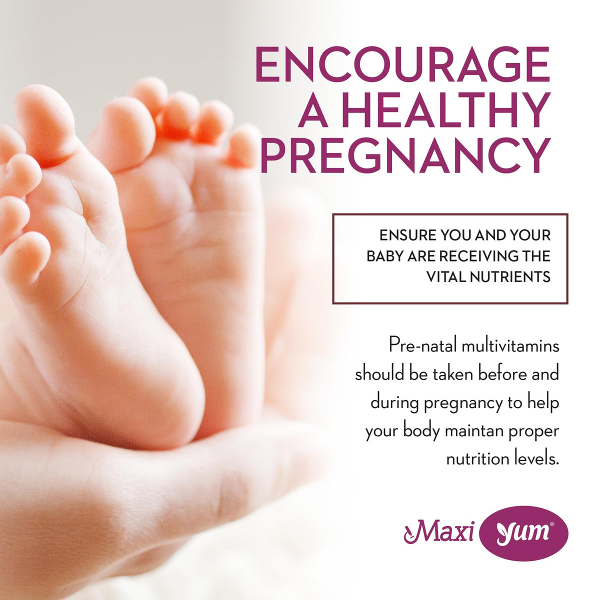 Maxi Health Prenatal Gummies with Folic Acid & Iron - 60 Count - image 5