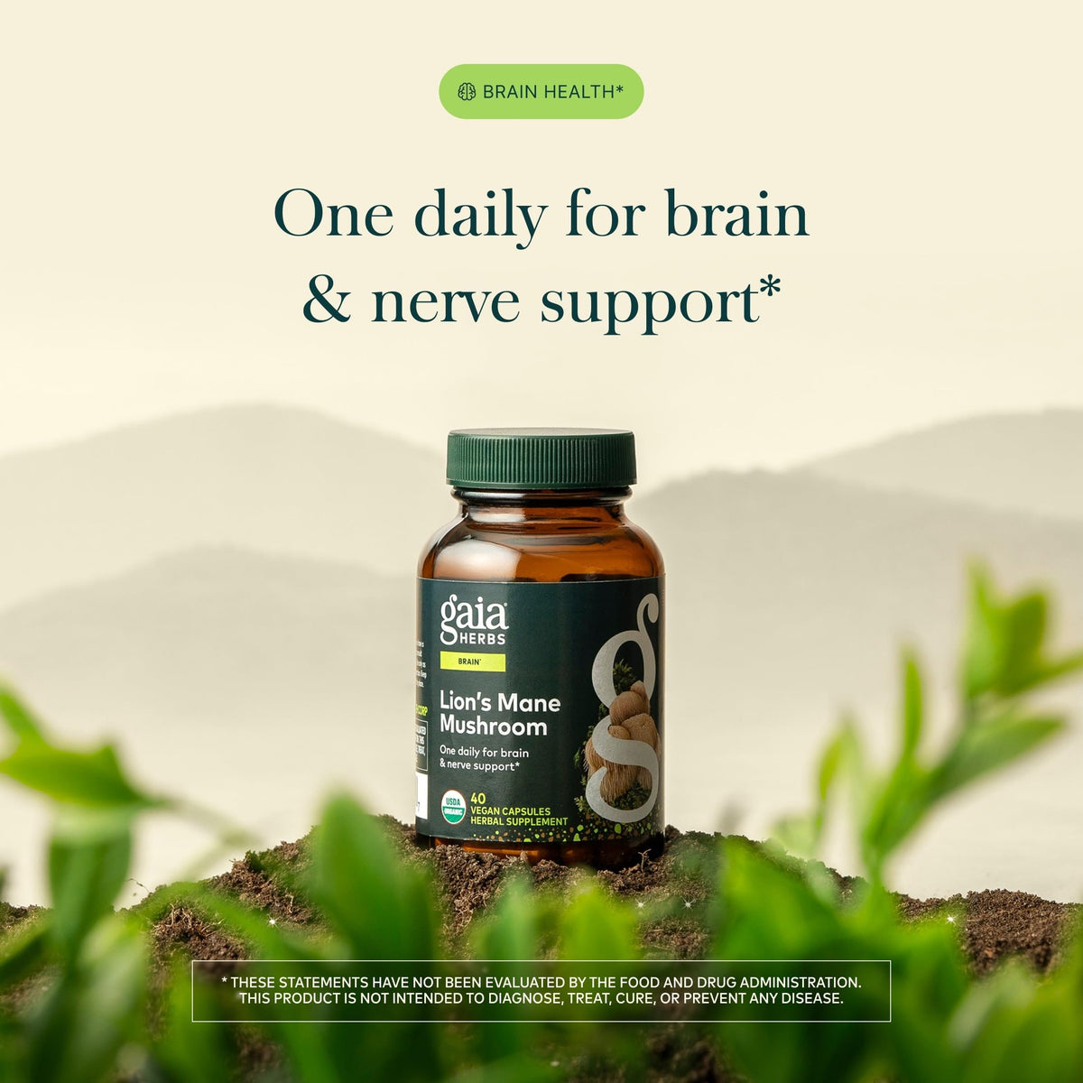 Gaia Herbs Lions Mane Mushroom - Brain & Nerve Health Support