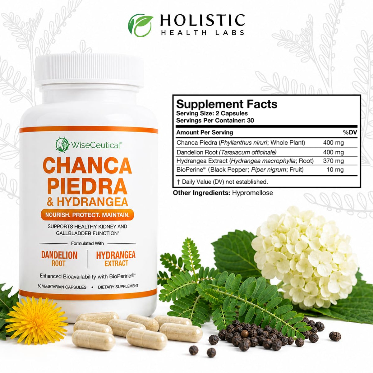 Wiseceutical Max Strength Chanca Piedra Kidney & Gallbladder Formula - image 7