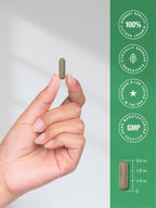 Horbäach Butchers Broom Extract - 120 Capsules - image 7