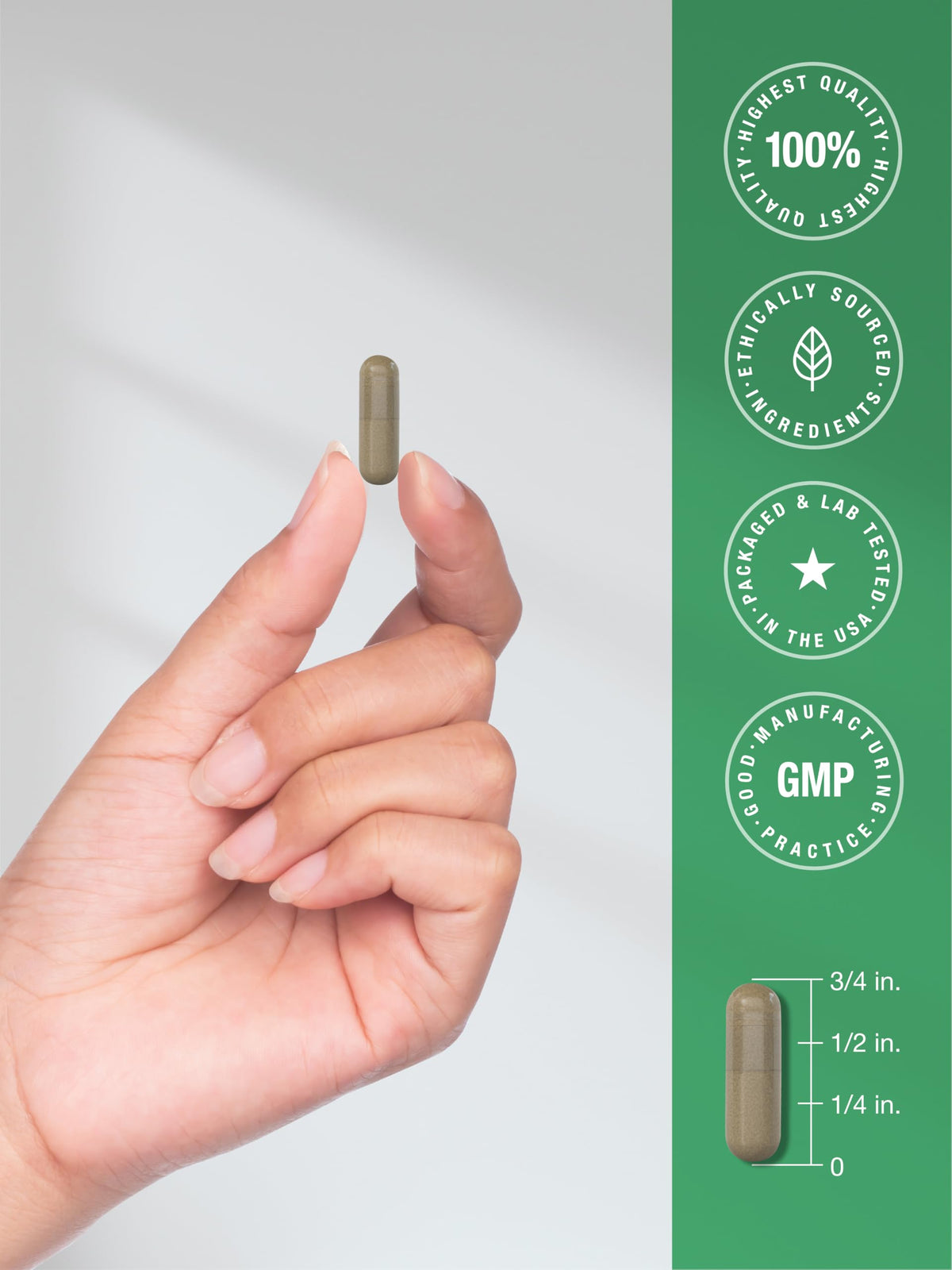 Horbäach Butchers Broom Extract - 120 Capsules - image 7
