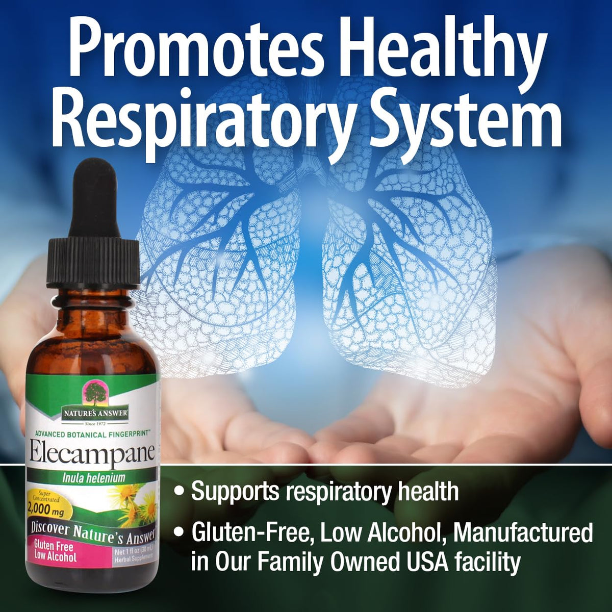 Nature's Answer Elecampane Root Liquid Extract - 1 Fl Oz - image 3
