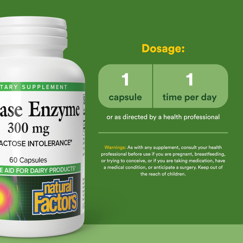 Natural Factors Lactase Enzyme 300 mg Dairy Digestion Support - 60 Capsules - image 3