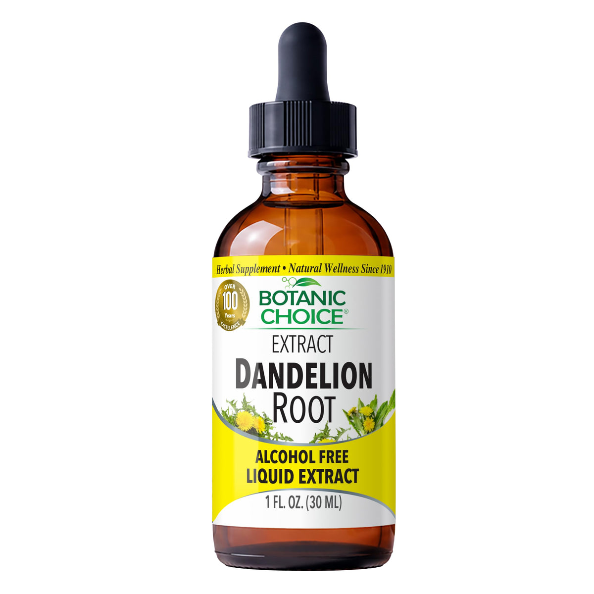 Botanic Choice Dandelion Root Liquid Extract Alcohol Free - 1 fl oz