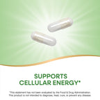 Nature's Way Pantothenic Acid Capsules for Energy - 100 Capsules - image 3