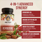Ancient Bliss Berberine HCL 1200mg with Ceylon Cinnamon - 120 Capsules - image 3