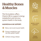 Solgar Magnesium with Vitamin B6 Energy Metabolism - 250 Tablets - image 4