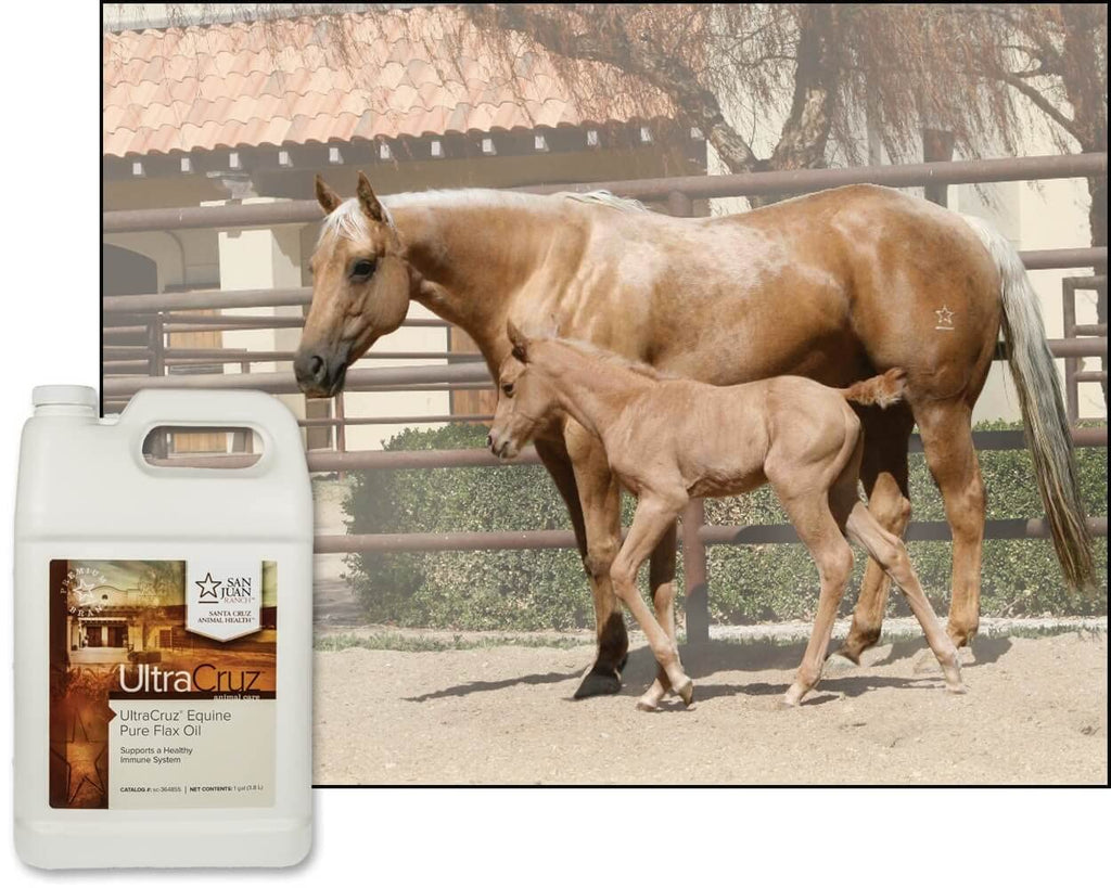 UltraCruz Equine Pure Flax Oil - 1 Gallon - image 4