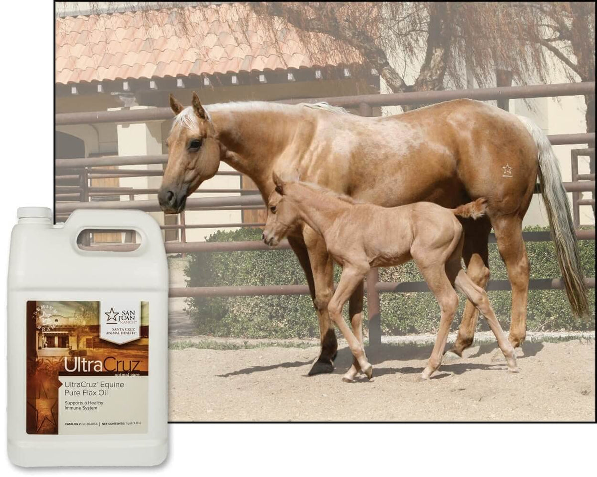 UltraCruz Equine Pure Flax Oil - 1 Gallon - image 4