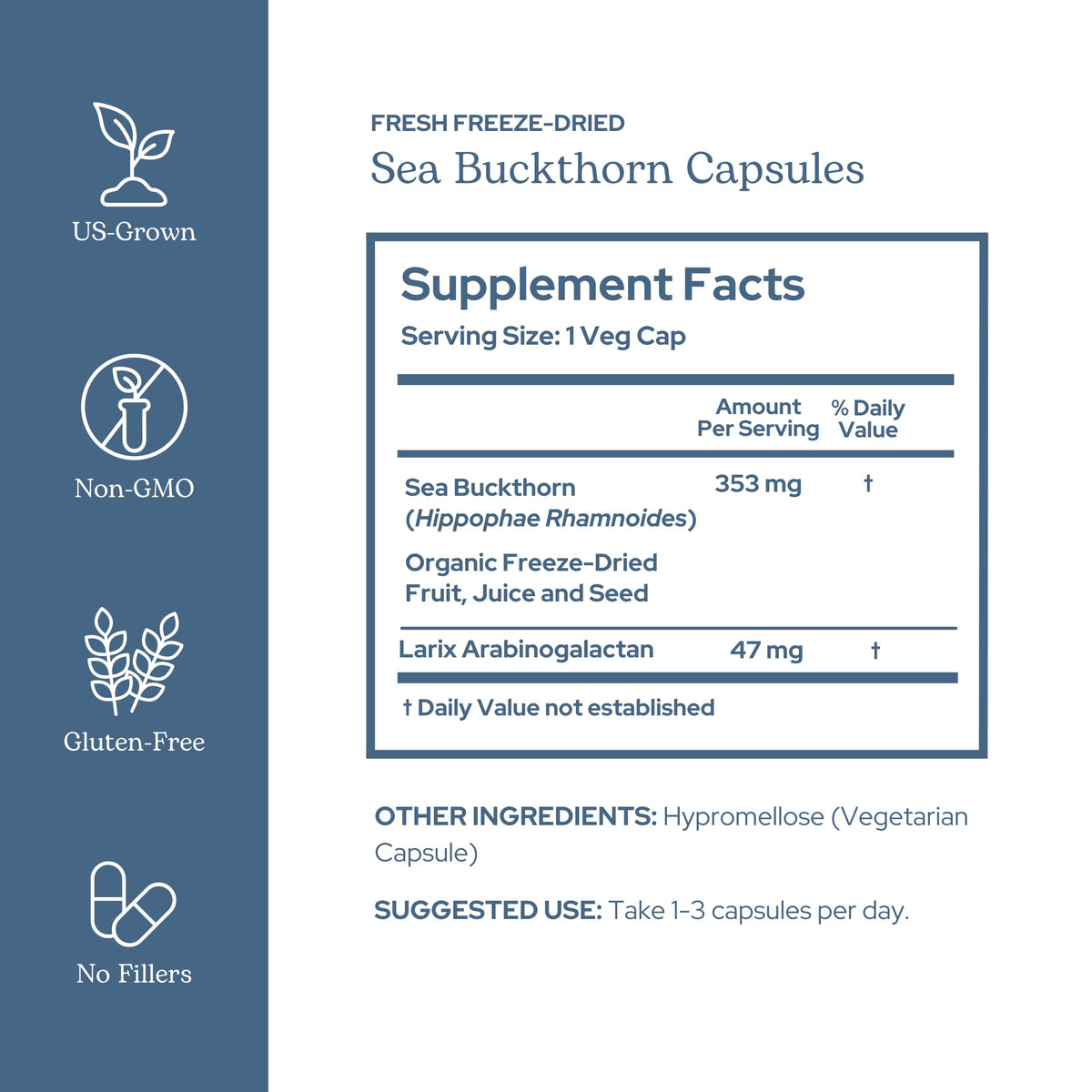 Eclectic Herb Sea Buckthorn Capsules 400 mg - 90 Capsules - image 2