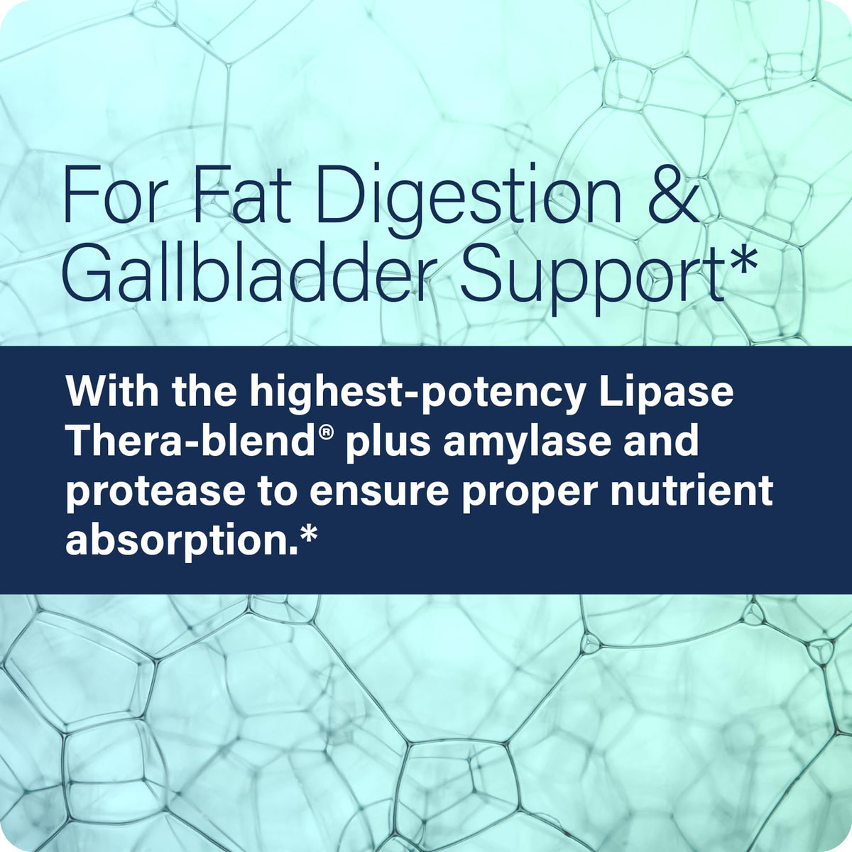Enzyme Science Lypo Optimize Digestive Enzyme - 90 Capsules - image 4