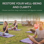 Generic Simple THC Detox 7-Day Capsules - 3 Pack - image 3