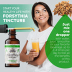 Florida Herbs Forsythia Tincture Organic Extract - 2 fl oz - image 4