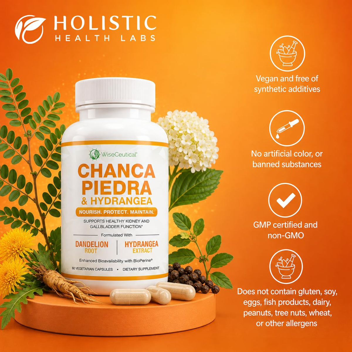 Wiseceutical Max Strength Chanca Piedra Kidney & Gallbladder Formula - image 4