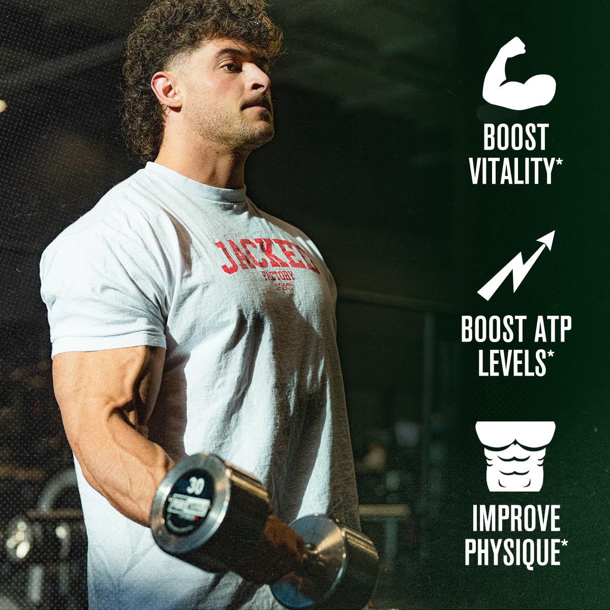 Jacked Factory Primasurge Testosterone Booster for Men - 60 Vegetarian Capsules - image 2