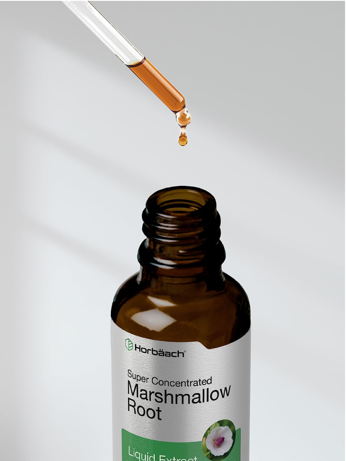 Horbäach Marshmallow Root Extract Tincture - 2 fl oz - image 7