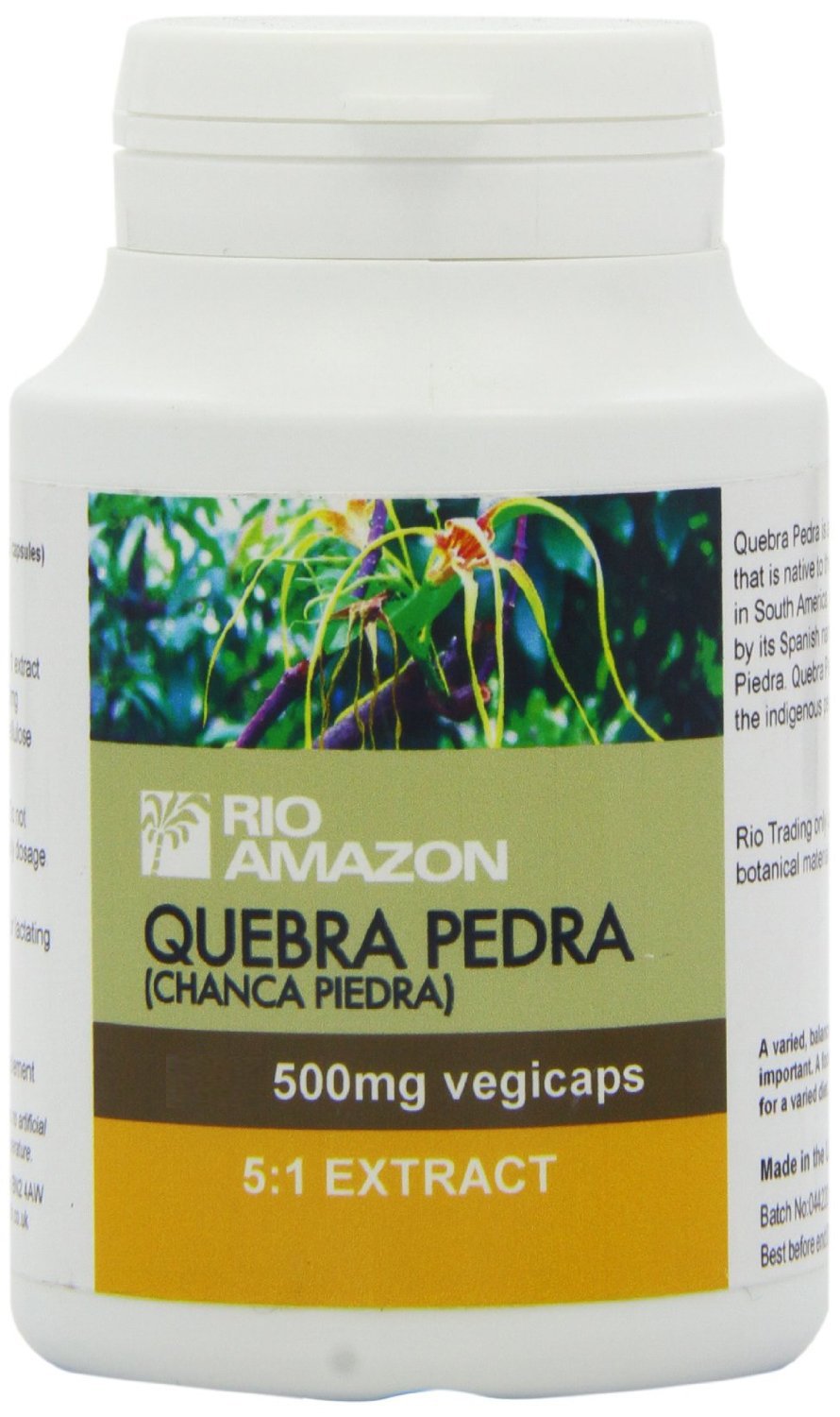 RIO AMAZON Quebra Pedra (Chanca Piedra) 500mg - 120 Vegetarian Capsules