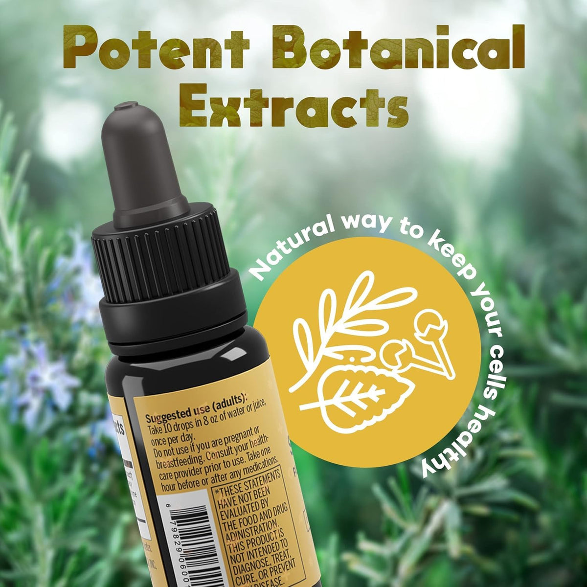 Activation Solaris Essential Oil Blend Thyme Peppermint Rosemary - 15 ml - image 6