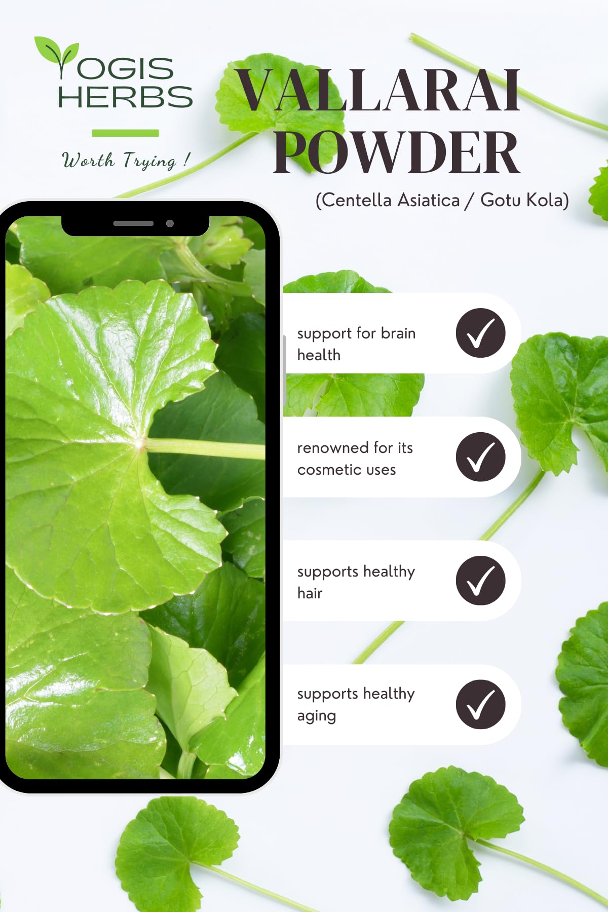 YOGIS HERBS Vallarai Powder Centella Asiatica for Cognitive Wellness - 16 oz - image 8