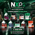 NXP Supplements L-Arginine AKG Powder for Horses - 1 lb - image 7