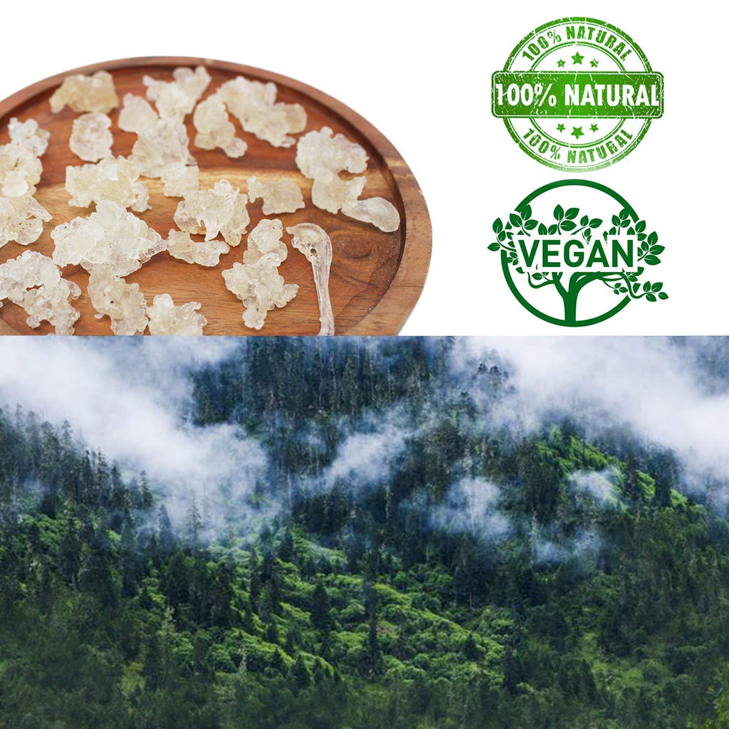 DABC OAK LAND Natural Wild Tragacanth Gum Snow Swallow - 8 oz - image 5
