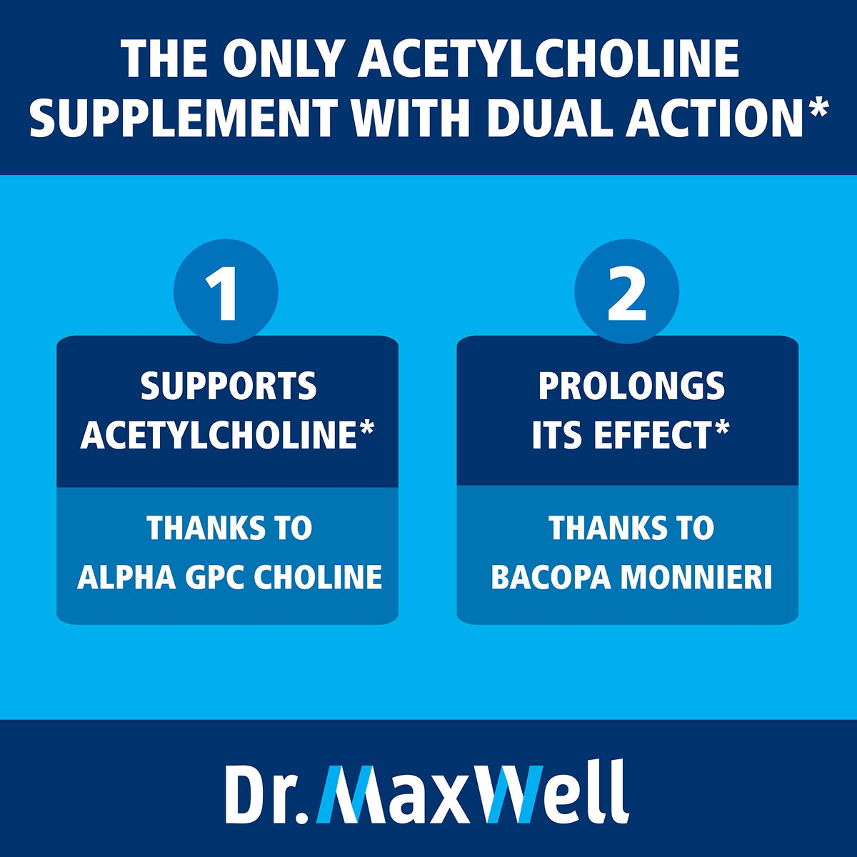 Dr. Maxwell Acetylcholine Alpha GPC 600mg + Bacopa - 60 Capsules - image 4