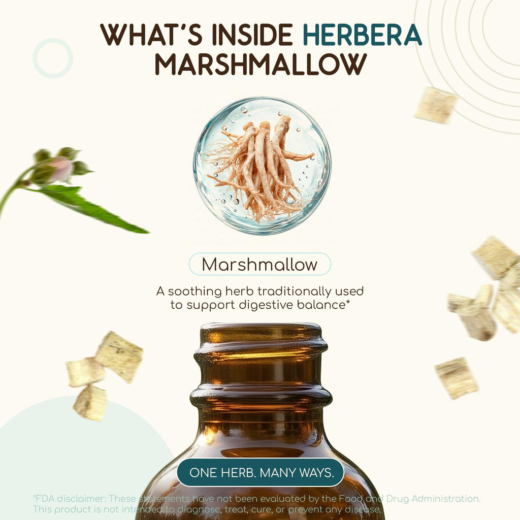 HerbEra Marshmallow Alcohol-Free Herbal Extract Tincture