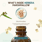 HerbEra Marshmallow Alcohol-Free Herbal Extract Tincture