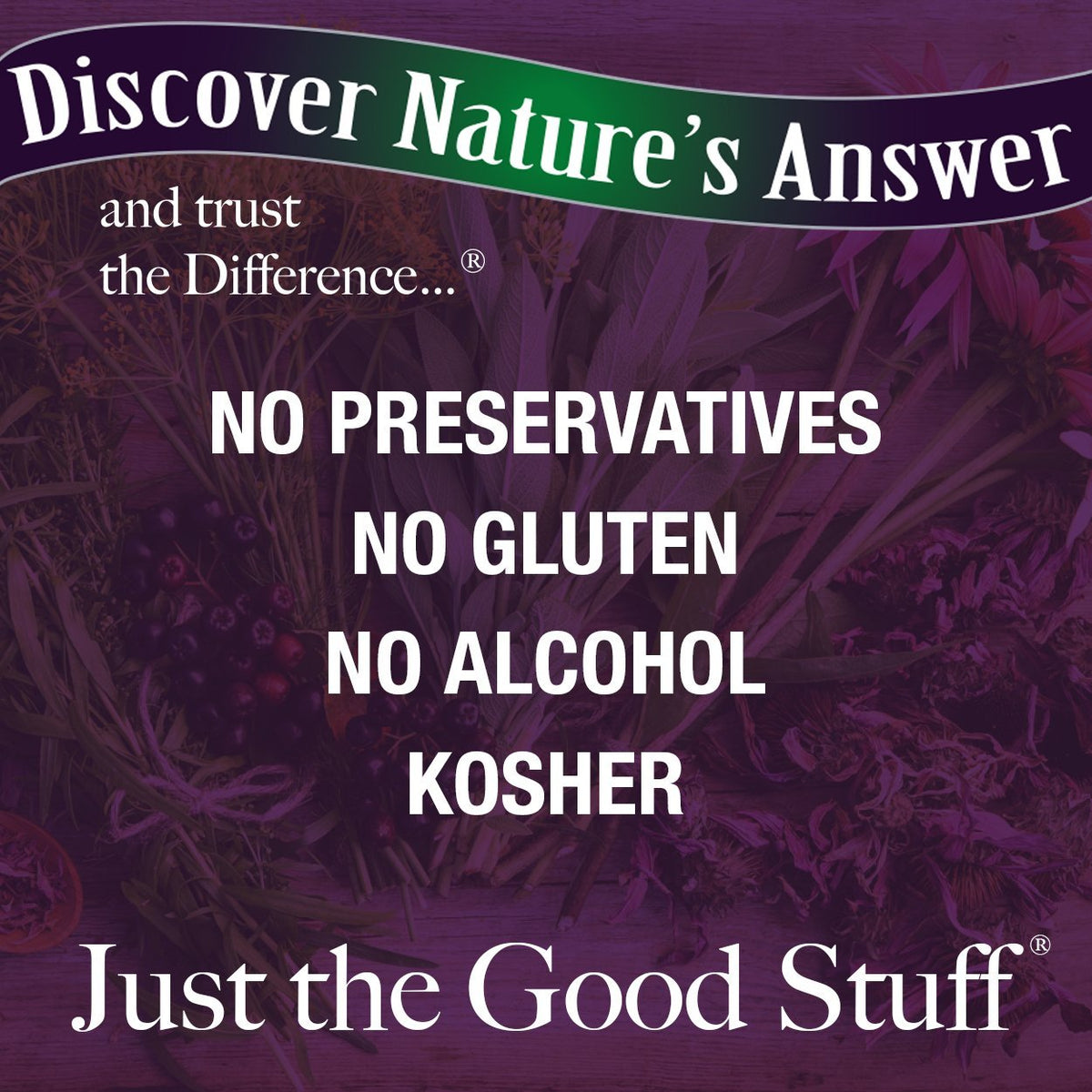 Nature's Answer Milk Thistle 2000 mg Liquid Extract - 2 Pack - image 4