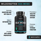 SPARTIS Certified Organic Sea Moss Capsules 2250mg - 180 Capsules - image 5