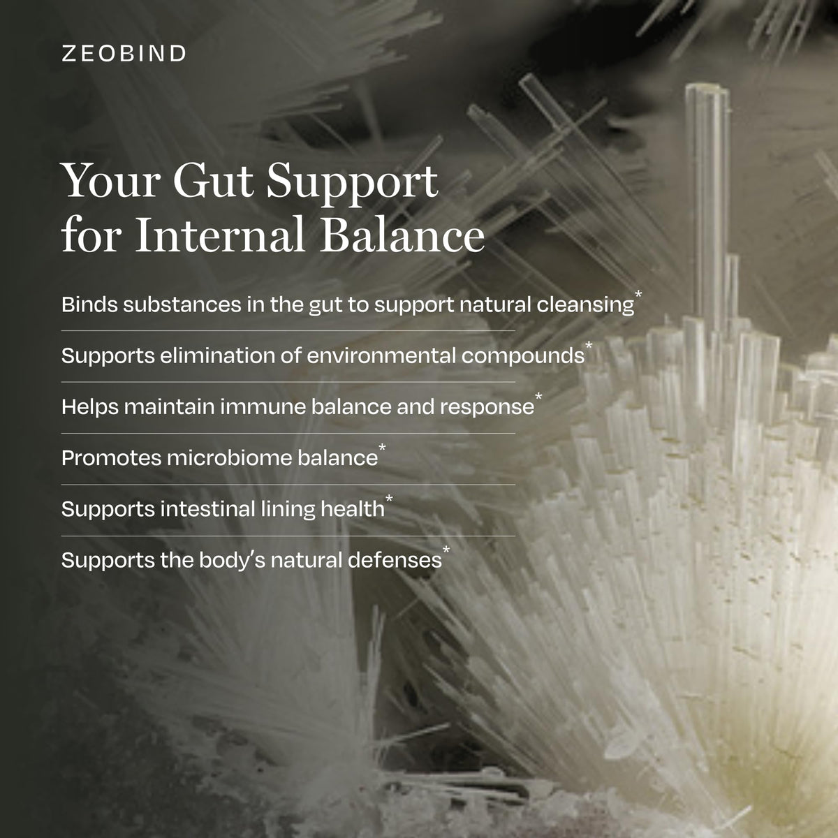 BioPure ZeoBind Natural Binding Support Powder - 137 Servings - image 5