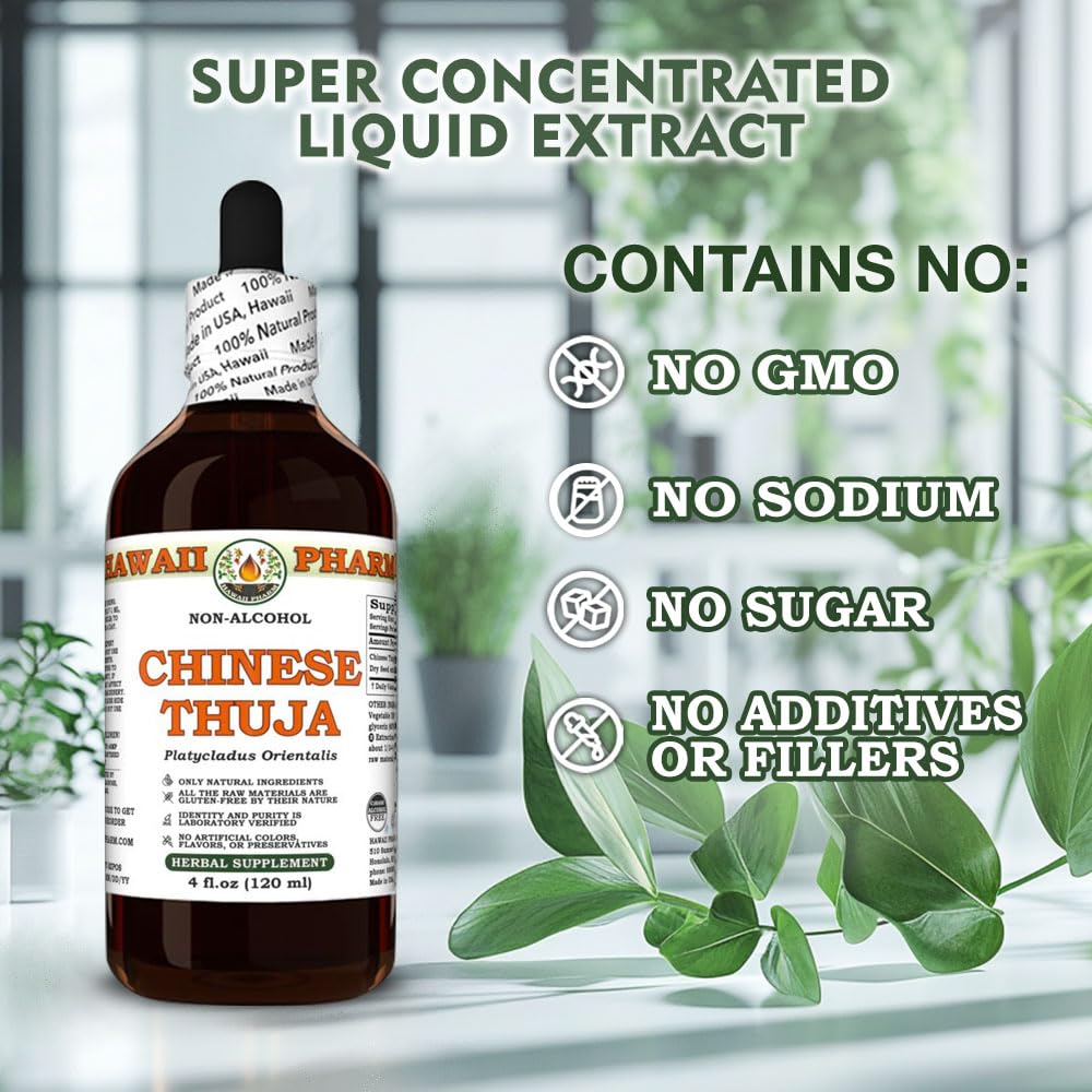 Hawaii Pharm Chinese Thuja (Platycladus orientalis) Seed Alcohol-Free