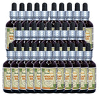 Herbal Terra LLC African Mango, Black Myrobalan (Irvingia Gabonensis)