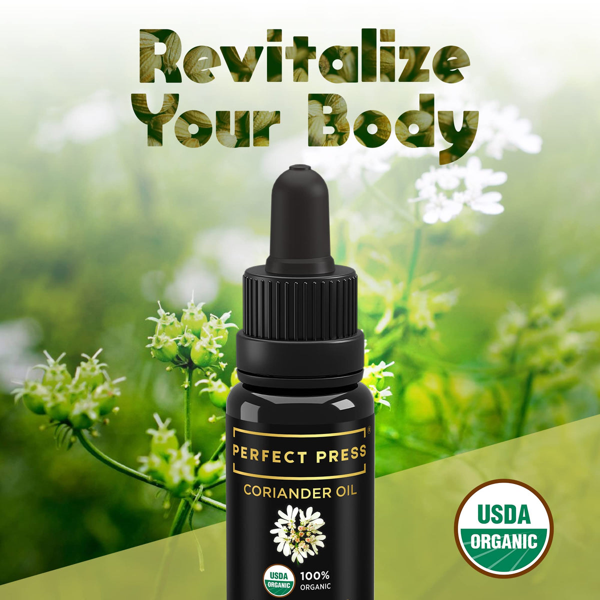 ACTIVATION Perfect Press Coriander Seed Oil - 0.5 fl oz - image 2