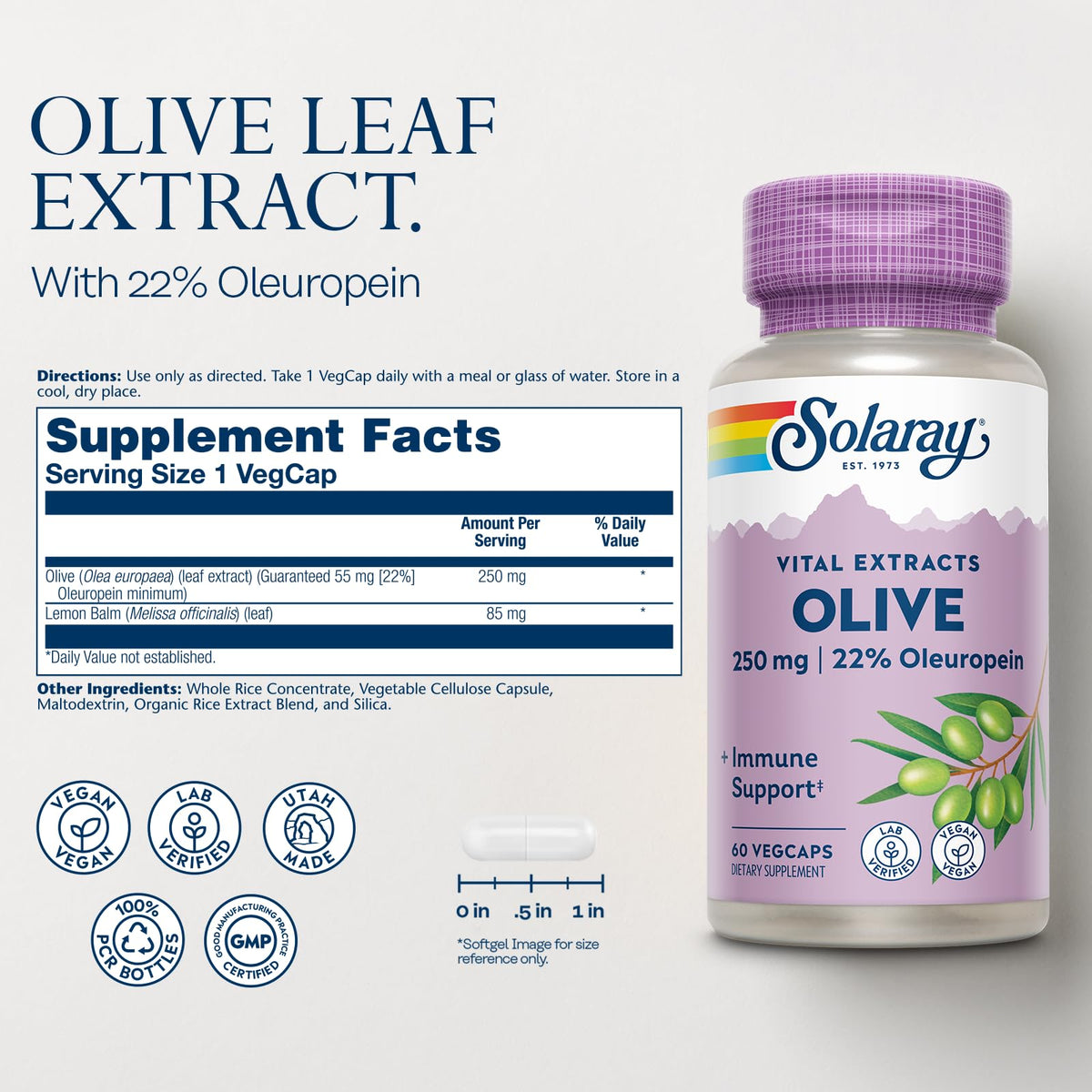 SOLARAY Olive Leaf Extract 250mg Wellness Support - 60 Vegetarian Capsules - image 2