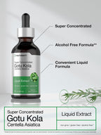 Horbäach Gotu Kola Extract Liquid - 2 fl oz - image 4