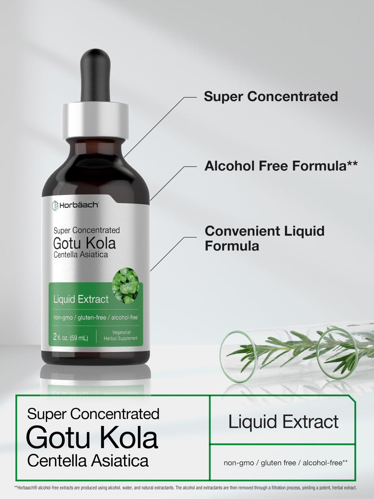 Horbäach Gotu Kola Extract Liquid - 2 fl oz - image 4