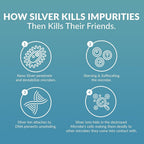 Thrival Labs ProSILVER Black Label Pure Colloidal Silver Liquid 30